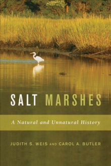 Image for Salt Marshes