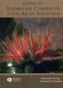 Image for A guide to tendrillate climbers of Costa Rican mountains