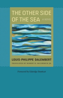 Image for The Other Side of the Sea : A Novel