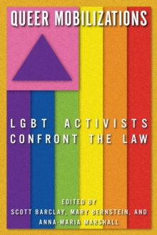 Image for Queer Mobilizations: LGBT Activists Confront the Law