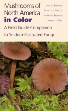 Image for Mushrooms of North America in Color : A Field Guide Companion to Seldom-Illustrated Fungi