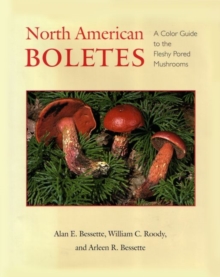Image for North American Boletes : A Color Guide to the Fleshy Pored Mushrooms