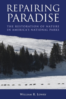 Repairing Paradise