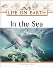 In the Sea