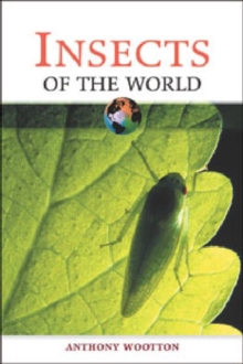 Image for Insects of the World