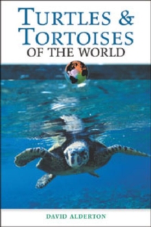 Turtles and Tortoises of the World