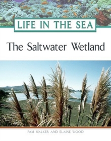 Image for The Saltwater Wetland