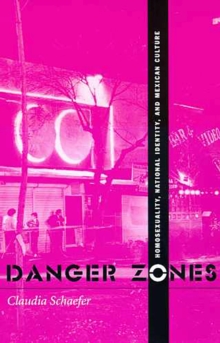 Image for Danger Zones : Homosexuality, National Identity, and Mexican Culture