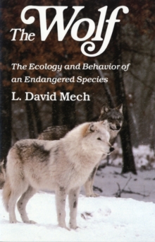 Image for Wolf : The Ecology and Behavior of an Endangered Species