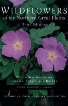 Image for Wildflowers of the Northern Great Plains