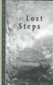 Image for Lost Steps