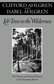 Lob Trees In The Wilderness