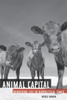 Image for Animal capital  : rendering life in biopolitical times
