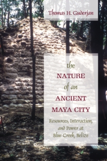 Nature of an Ancient Maya City