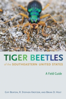Image for Tiger Beetles of the Southeastern United States