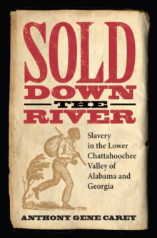Image for Sold Down the River : Slavery in the Lower Chattahoochee Valley of Alabama and Georgia