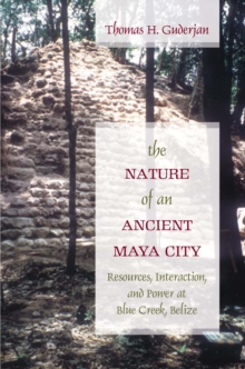 Image for The nature of an ancient Maya city: resources, interaction, and power at Blue Creek, Belize