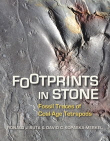 Image for Footprints in Stone: Fossil Traces of Coal-Age Tetrapods