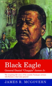 Image for Black Eagle: General Daniel "chappie" James Jr.
