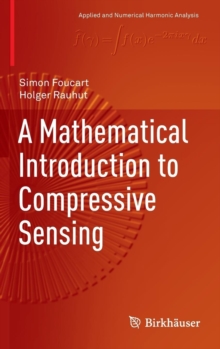 Mathematical Introduction to Compressive Sensing