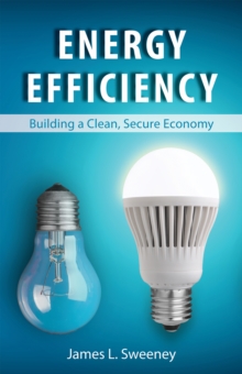 Image for Energy Efficiency
