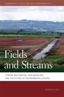 Image for Fields and Streams
