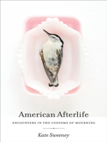 Image for American Afterlife: Encounters in the Customs of Mourning