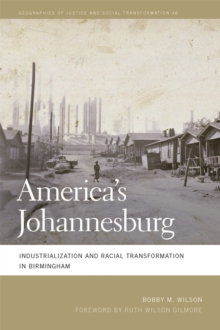 Image for America's Johannesburg: Industrialization and Racial Transformation in Birmingham