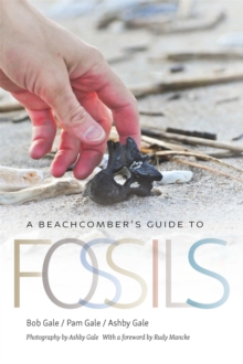 A Beachcomber’s Guide to Fossils