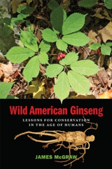 Image for Wild American Ginseng