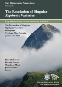 Resolution of Singular Algebraic Varieties