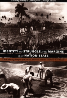 Image for Identity and Struggle at the Margins of the Nation-State