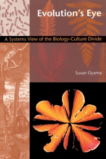 Image for Evolution's Eye : A Systems View of the Biology-Culture Divide