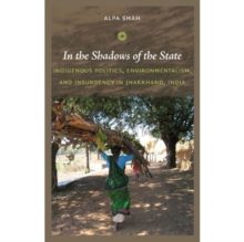 In the Shadows of the State