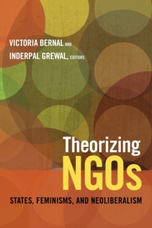 Image for Theorizing NGOs