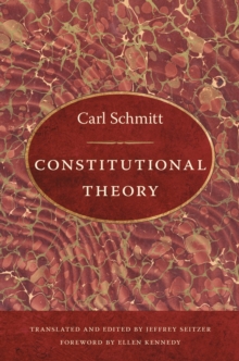 Image for Constitutional theory