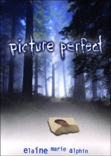 Image for Picture Perfect
