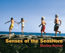 Image for Senses at the Seashore