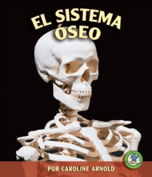 Image for El Sistema Oseo (The Skeletal System)