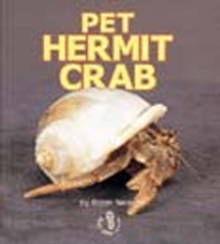Image for Pet Hermit Crab.