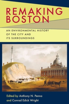 Image for Remaking Boston