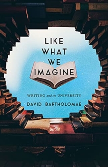 Image for Like what we imagine  : essays on writing and teaching