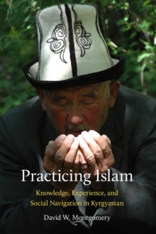 Image for Practicing Islam : Knowledge, Experience, and Social Navigation in Kyrgyzstan