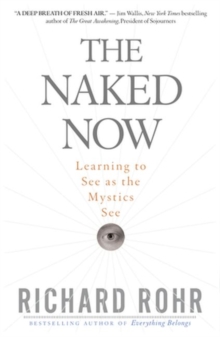 Image for Naked Now : Learning to See as the Mystics See