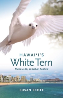 Hawai`i's White Tern