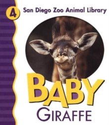 Image for Baby Giraffe