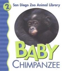 Image for Baby Chimpanzee