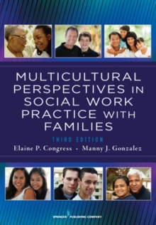 Image for Multicultural perspectives in social work practice with families