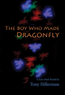 Image for The Boy Who Made Dragonfly