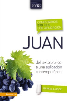 Image for Juan: del texto biblico a una aplicacion contemporanea